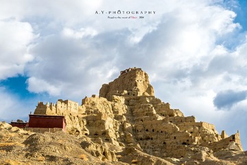 _DSC0504