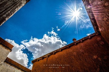 _DSC0338