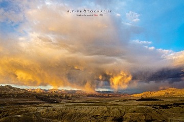 _DSC0553