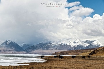_DSC0599