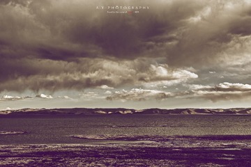 _DSC0870