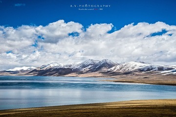 _DSC0823