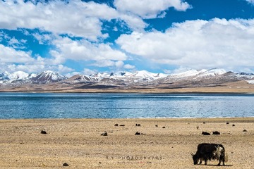 _DSC0852