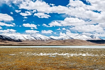 _DSC0861