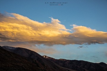 _DSC1039