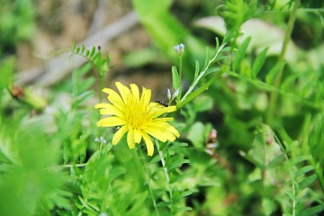 IMG_2991.JPG