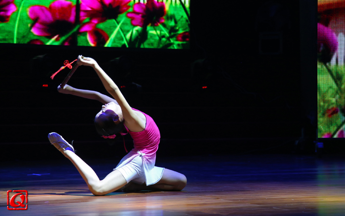 王姝力独舞笛中花印象