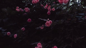 1604456