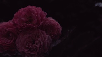 1604451