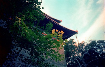 Scan-140314-0009
