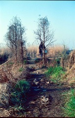 Scan-140318-0012