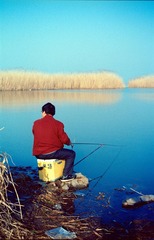 Scan-140318-0011