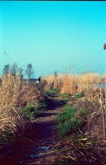 Scan-140318-0013