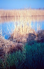 Scan-140318-0021