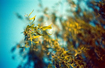 Scan-140318-0032