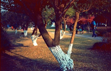 Scan-140318-0034