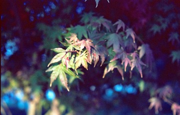 Scan-140318-0030