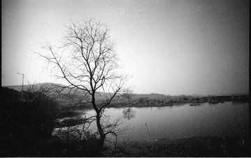 Scan-140319-0022
