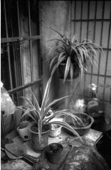 Scan-140331-0040