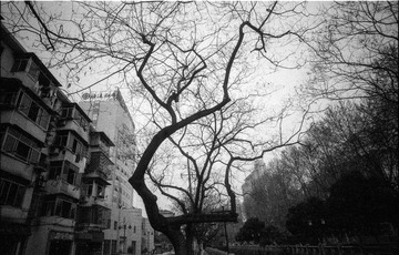 Scan-140331-0048