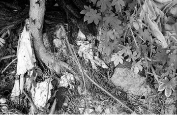 Scan-140606-0014