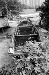 Scan-140606-0011