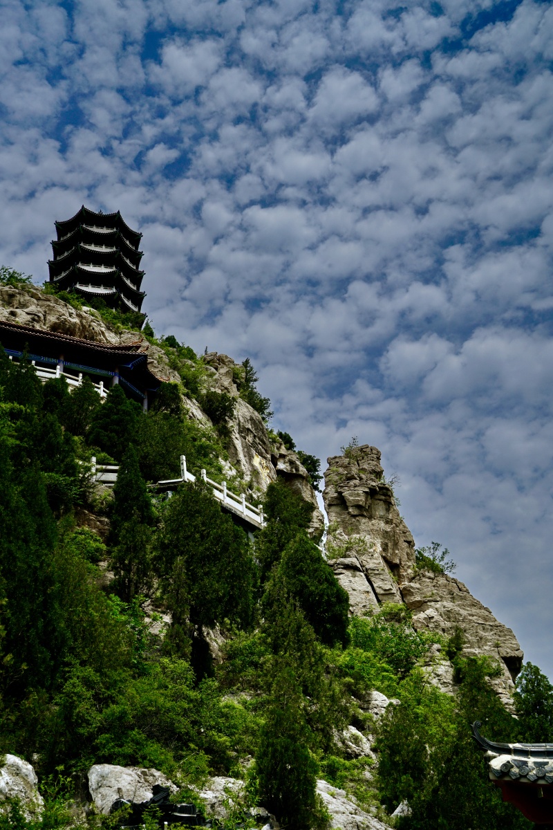 济南世际园&黄花山