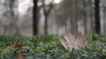 B5C60D99-7AC2-466C-8549-BD9737858171/L0/001