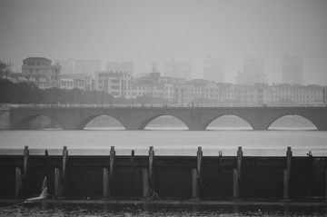 DSC_ (14)