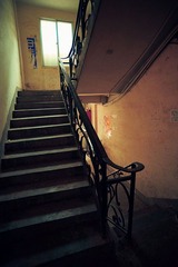 家门口的楼梯