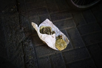 Litter