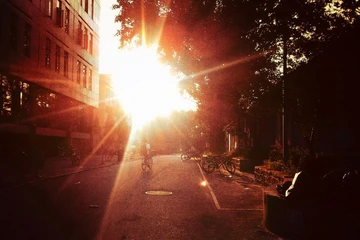 SUNBURN