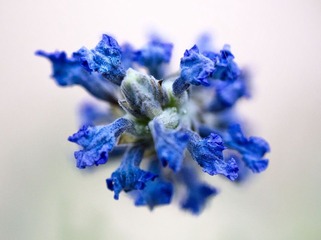 Crystalline