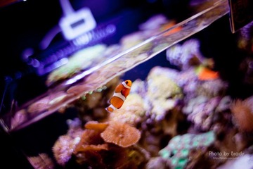 _MG_0082_nEO_IMG.jpg
