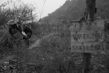 _MG_3651_conew1.jpg