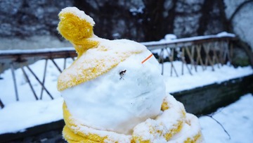 20周岁乌镇雪人