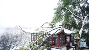 20周岁西湖冬0