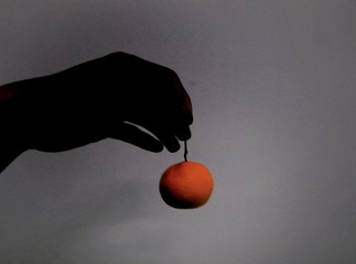 ADDCEBDC-02A7-4192-86DA-D5149B960E8F/L0/001