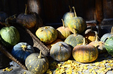DSC_9191-2