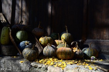 DSC_9197-2