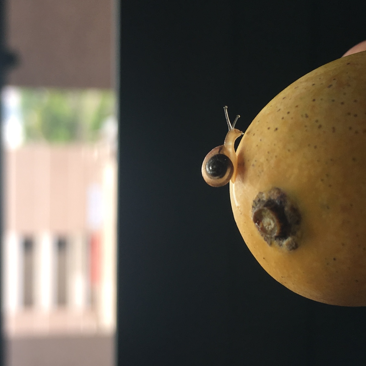 小生命 - 王火火98 - 图虫网 - 最好的摄影师都在这