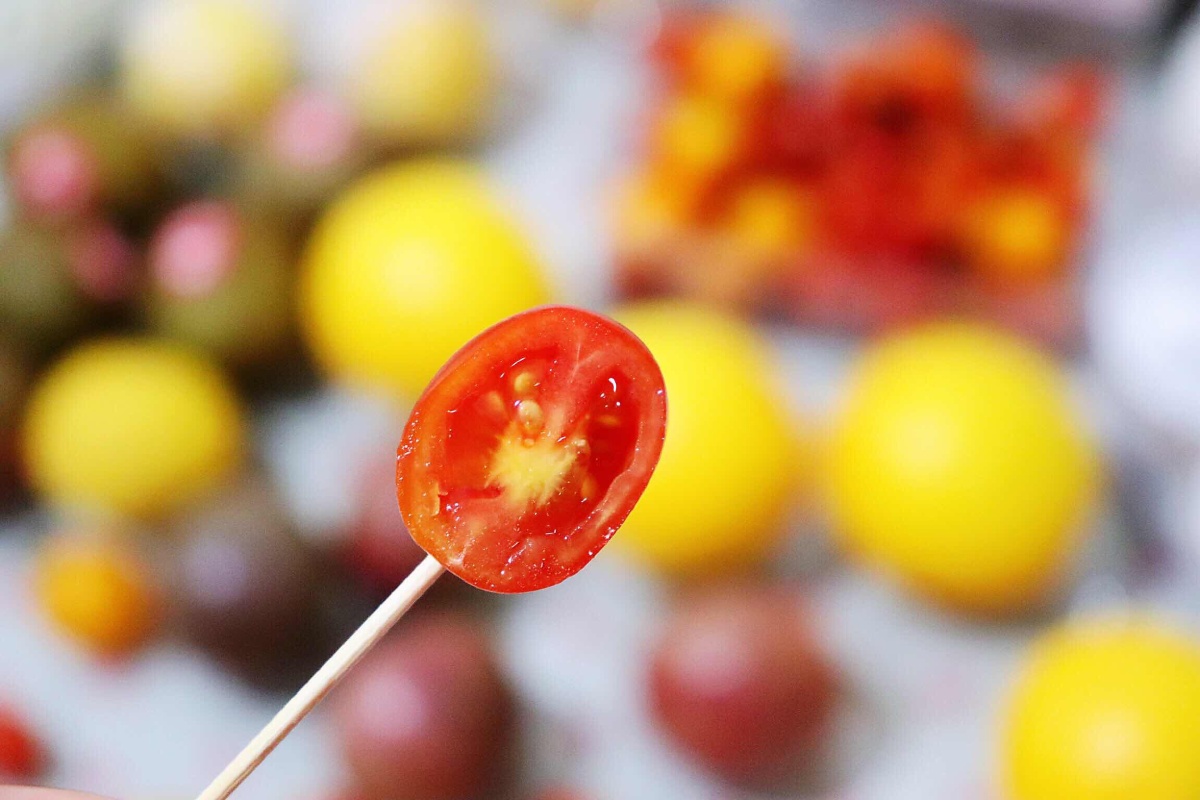 小雨私厨 - 栗小雨 - 图虫网 - 优质摄影师交流社区