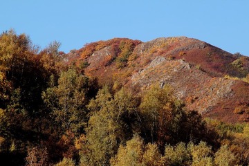 IMG_0636.JPG