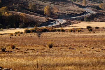 IMG_0638.JPG