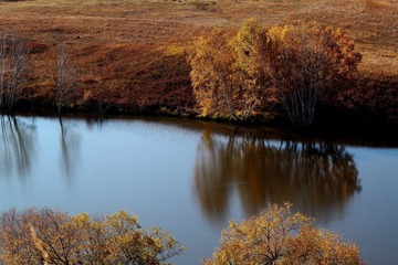 IMG_0647.JPG