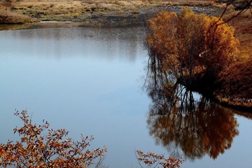 IMG_0658.JPG