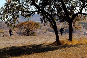 IMG_0662.JPG