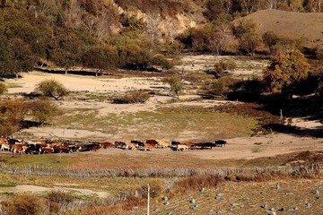 IMG_0614.JPG