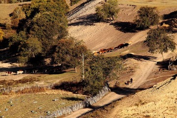 IMG_0617.JPG