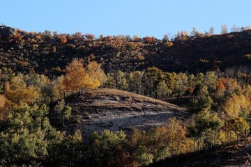 IMG_0629.JPG